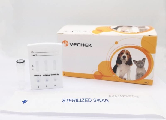 OEM 개 테스트는 CPV CCV 람블편모충 항원 빠른 진단상의를 장비를 답니다